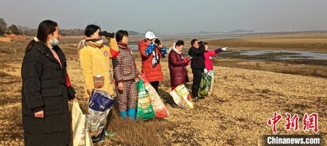 必威鄱阳湖护鸟记：十年之约的承诺 万里之行的守护(图2)