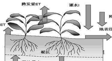 必威·(BETWAY)官方网站再生水灌溉的研究设计对土壤水力特性的价值(图8)