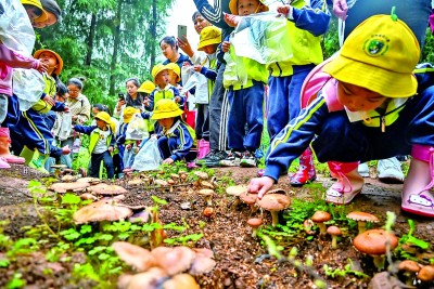 必威绘就“水清岸绿”的城市画卷——重庆在推进长江经济带绿色发展中扛起“上游责任”(图4)