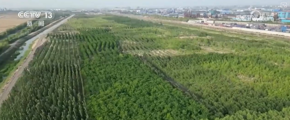 必威“数”看美丽中国高颜值“生态答卷”(图6)